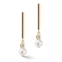 Ohrringe Coeur De Lion in Stahl 1102/21-1416